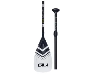 Carbon Fiber SUP Paddle: Adjustable & Travel Friendly